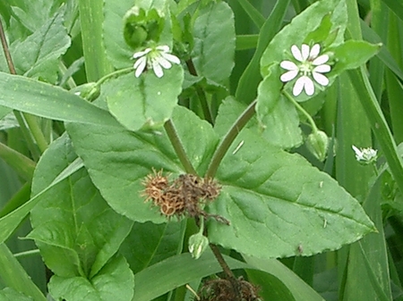 CIMG4804050402.JPG