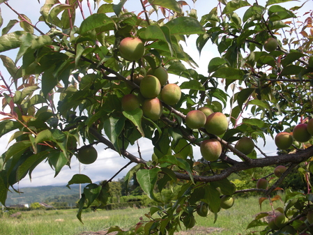 PO20090504_0078.JPG